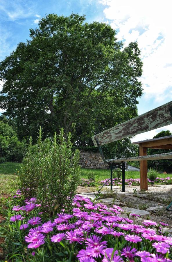 Cottage Al Merlo Olivo Buje Exterior photo