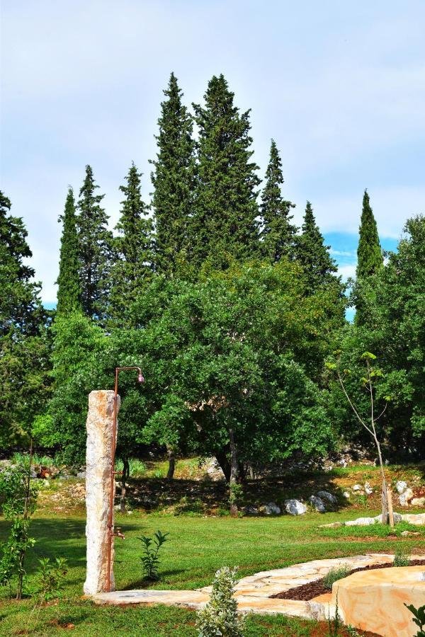 Cottage Al Merlo Olivo Buje Exterior photo